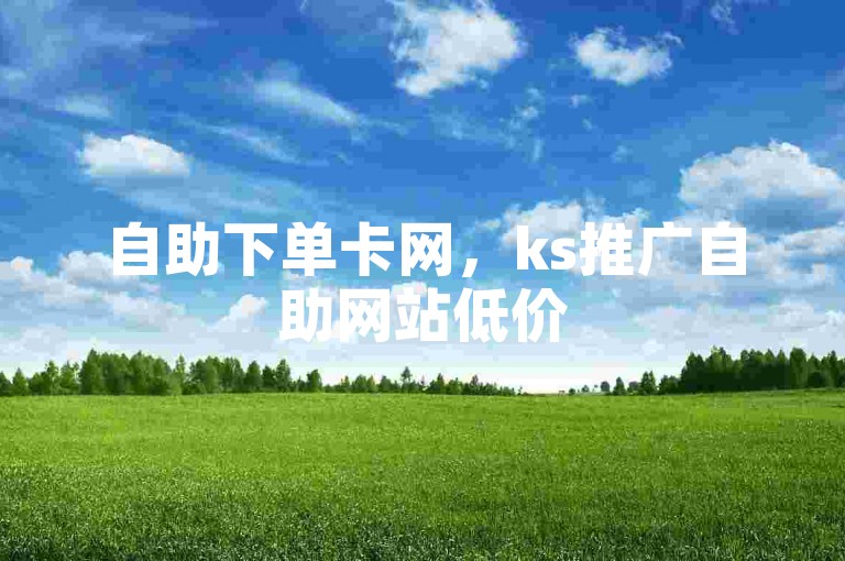 自助下单卡网，ks推广自助网站低价