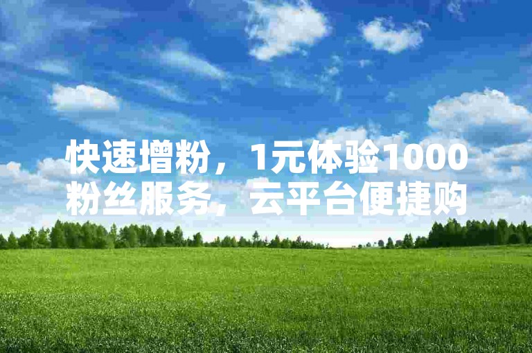 快速增粉，1元体验1000粉丝服务，云平台便捷购买。