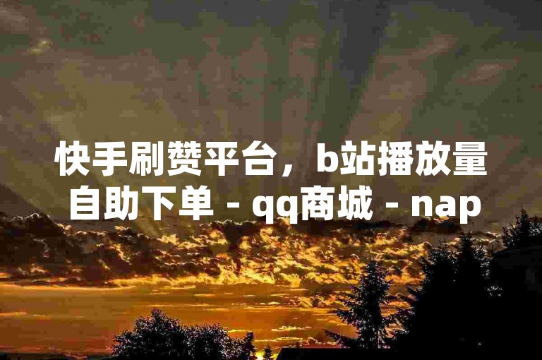 快手刷赞平台，b站播放量自助下单 - qq商城 - nap6科技网