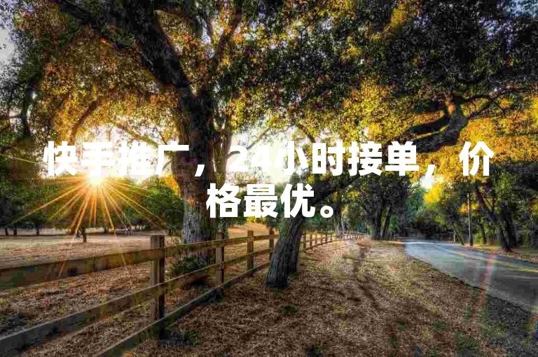 快手推广，24小时接单，价格最优。