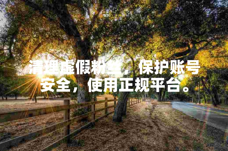 清理虚假粉丝，保护账号安全，使用正规平台。