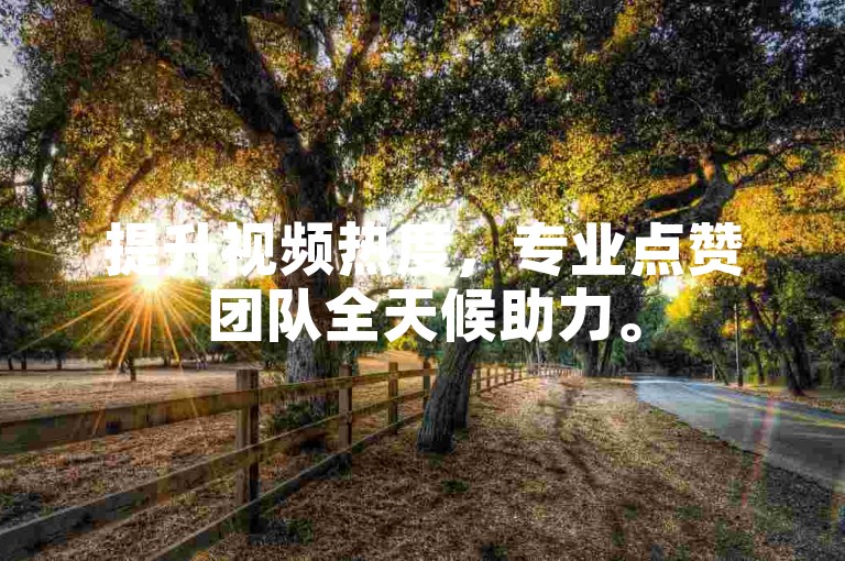提升视频热度，专业点赞团队全天候助力。