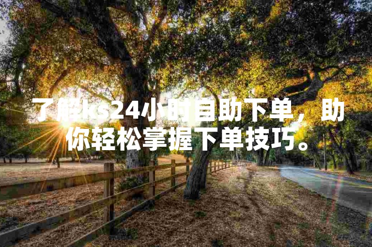 了解ks24小时自助下单，助你轻松掌握下单技巧。