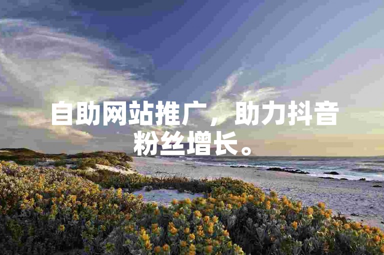 自助网站推广，助力抖音粉丝增长。