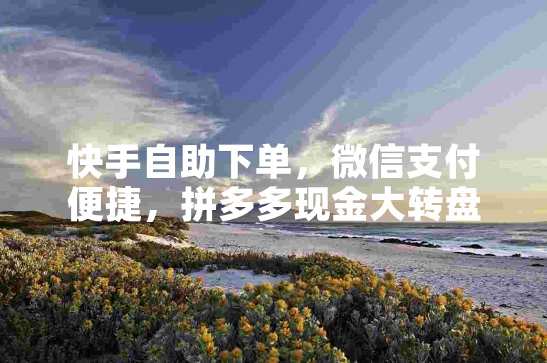 快手自助下单，微信支付便捷，拼多多现金大转盘助力购物。