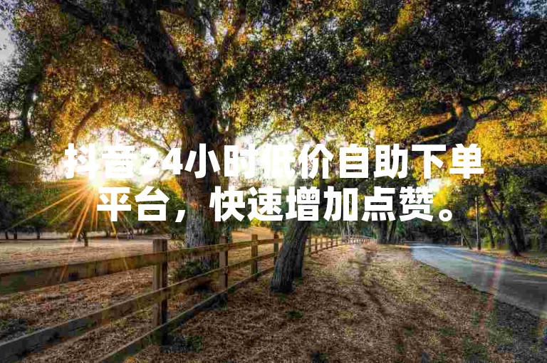 抖音24小时低价自助下单平台，快速增加点赞。