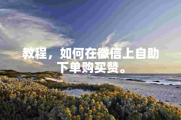教程，如何在微信上自助下单购买赞。