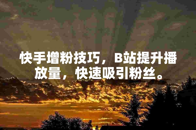 快手增粉技巧，B站提升播放量，快速吸引粉丝。
