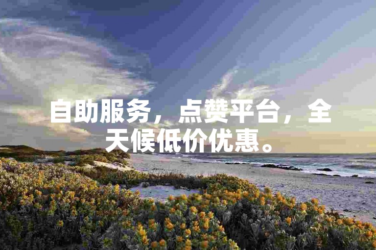 自助服务，点赞平台，全天候低价优惠。