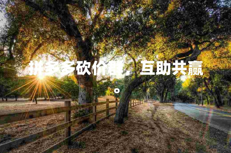 拼多多砍价群，互助共赢。