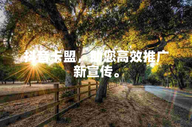 抖音卡盟，助您高效推广新宣传。