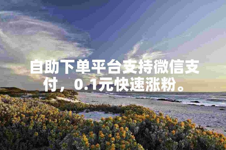 自助下单平台支持微信支付，0.1元快速涨粉。