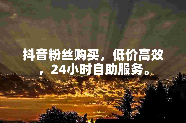 抖音粉丝购买，低价高效，24小时自助服务。
