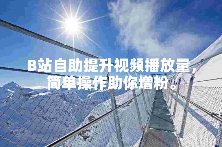 B站自助提升视频播放量，简单操作助你增粉。