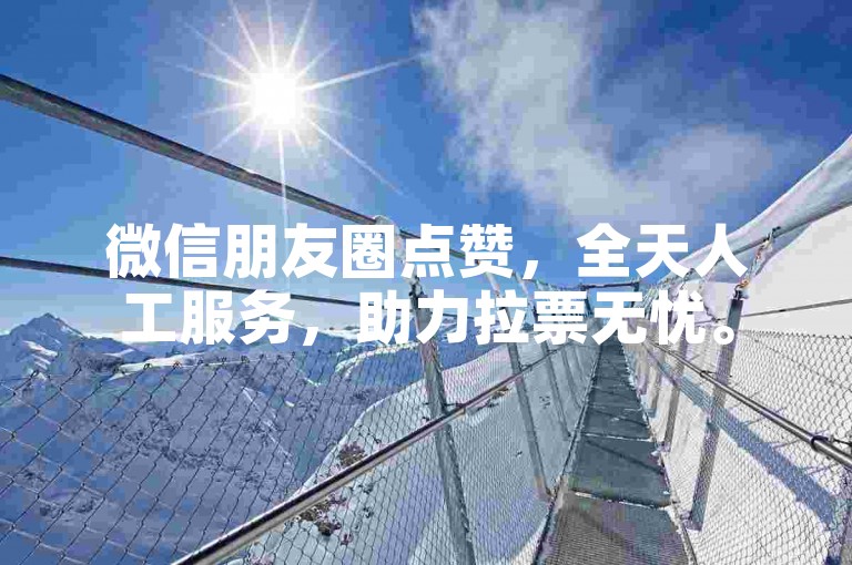 微信朋友圈点赞，全天人工服务，助力拉票无忧。
