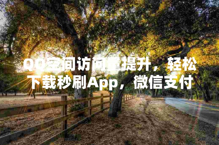 QQ空间访问量提升，轻松下载秒刷App，微信支付快速点赞。