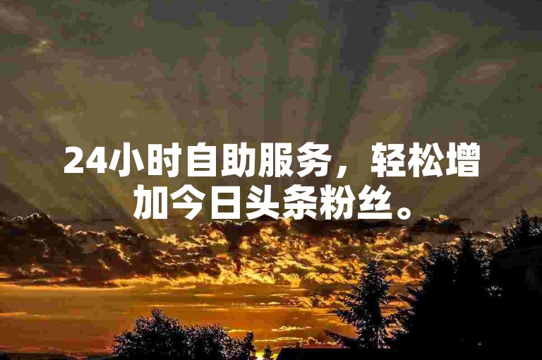 24小时自助服务，轻松增加今日头条粉丝。