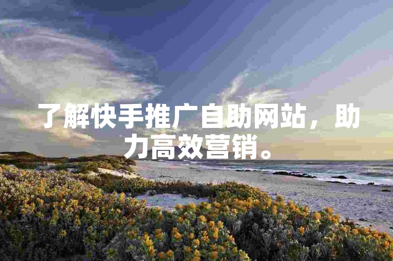 了解快手推广自助网站，助力高效营销。