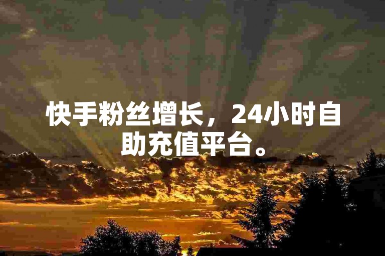 快手粉丝增长，24小时自助充值平台。