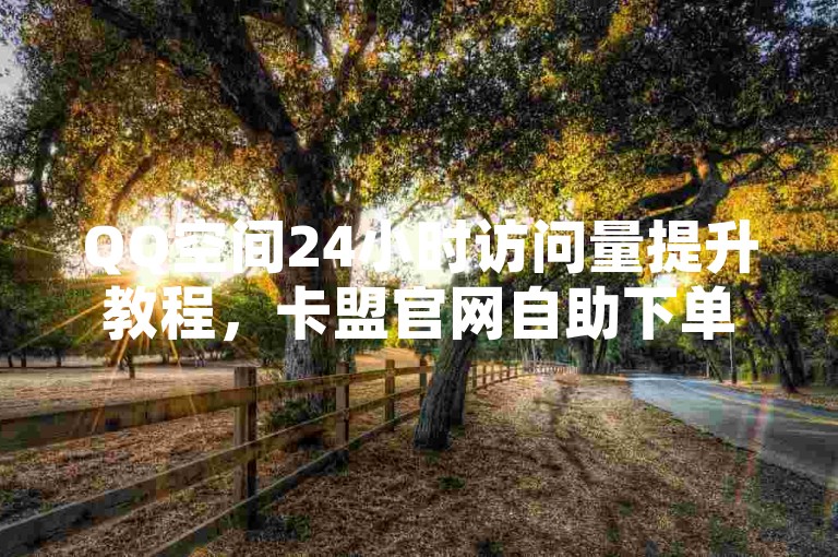 QQ空间24小时访问量提升教程，卡盟官网自助下单。