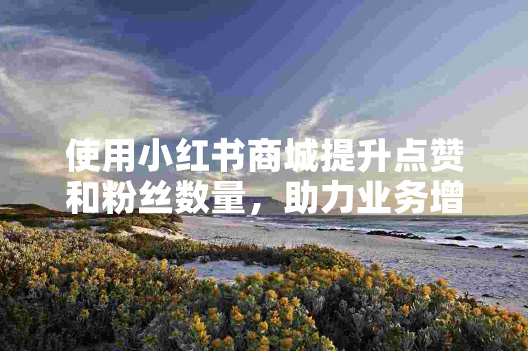 使用小红书商城提升点赞和粉丝数量，助力业务增长。