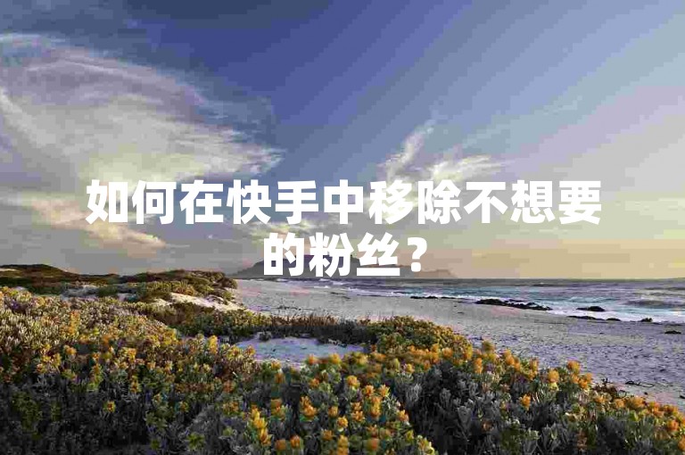 如何在快手中移除不想要的粉丝？
