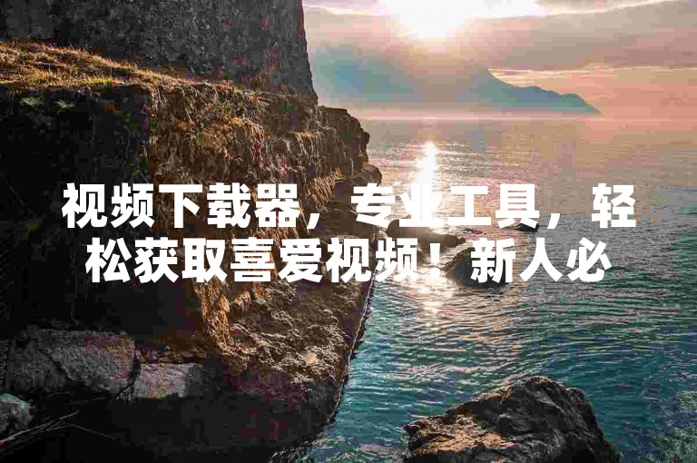 视频下载器，专业工具，轻松获取喜爱视频！新人必备！
