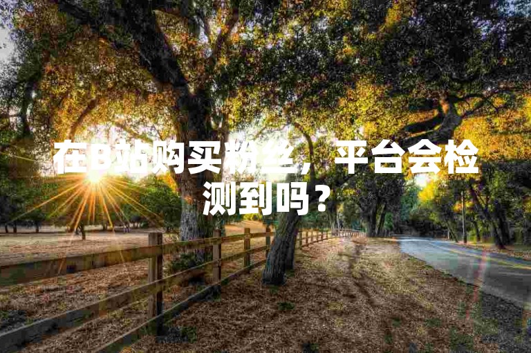 在B站购买粉丝，平台会检测到吗？