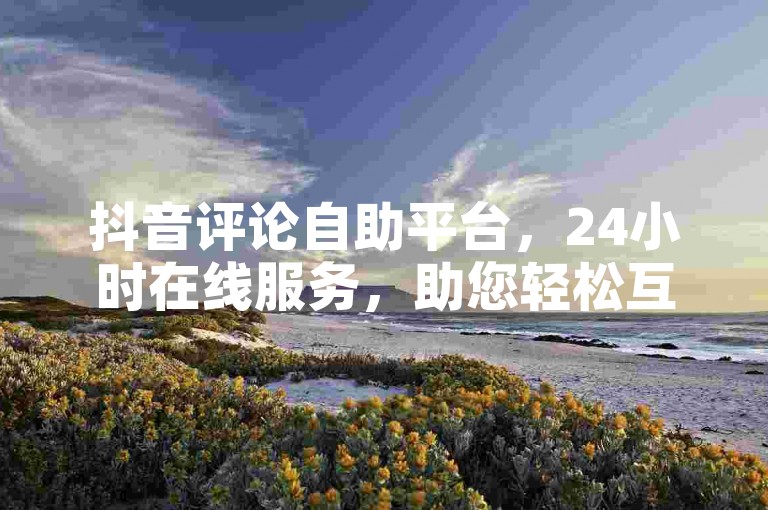 抖音评论自助平台，24小时在线服务，助您轻松互动。