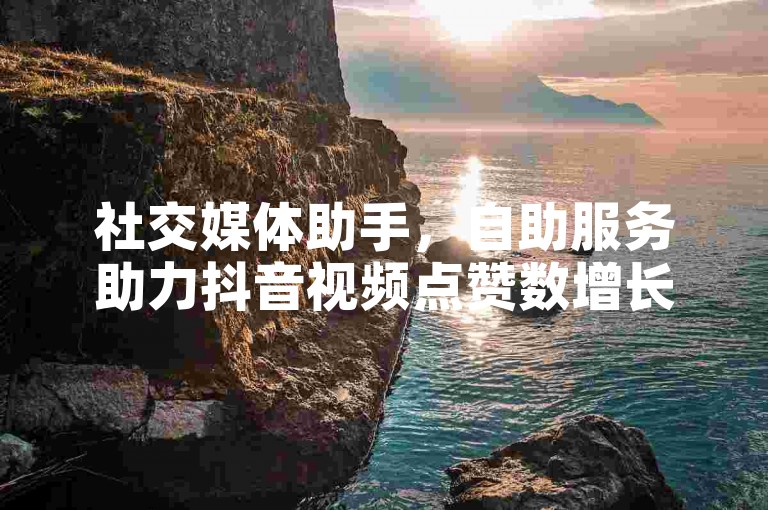 社交媒体助手，自助服务助力抖音视频点赞数增长，微信支付便捷。