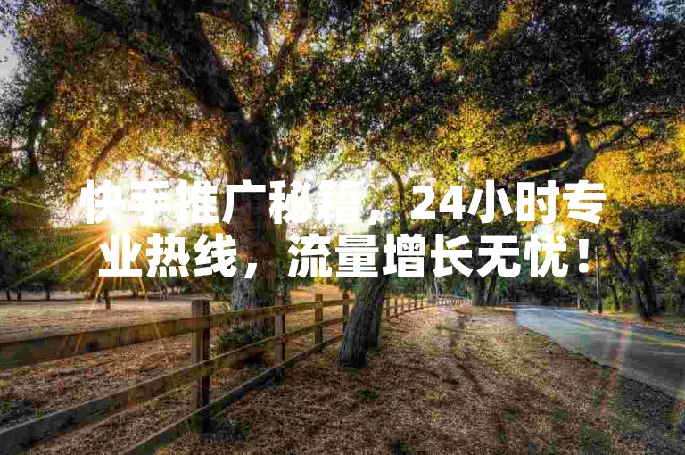 快手推广秘籍，24小时专业热线，流量增长无忧！