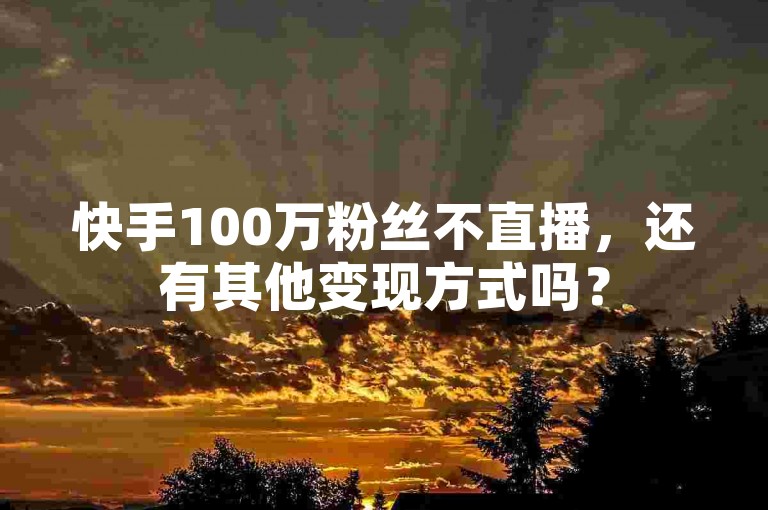 快手100万粉丝不直播，还有其他变现方式吗？