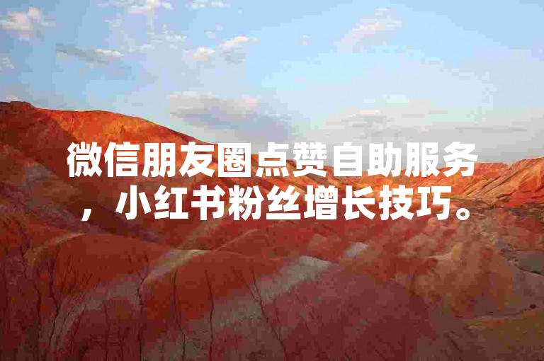 微信朋友圈点赞自助服务，小红书粉丝增长技巧。