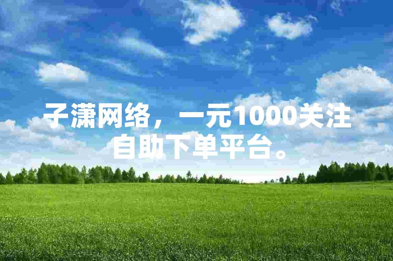 子潇网络，一元1000关注自助下单平台。