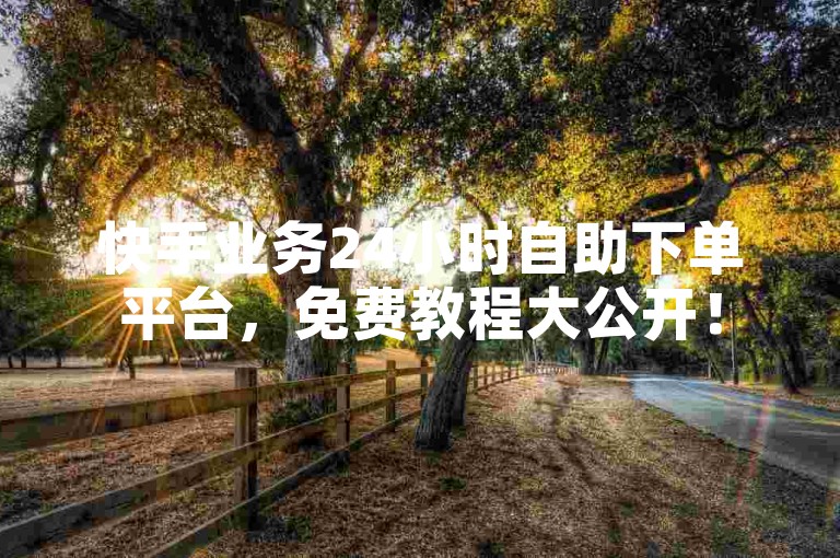 快手业务24小时自助下单平台，免费教程大公开！
