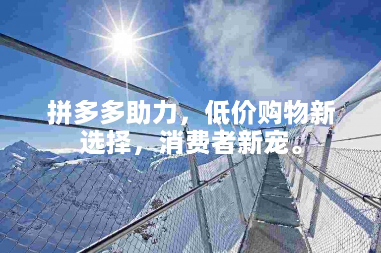 拼多多助力，低价购物新选择，消费者新宠。