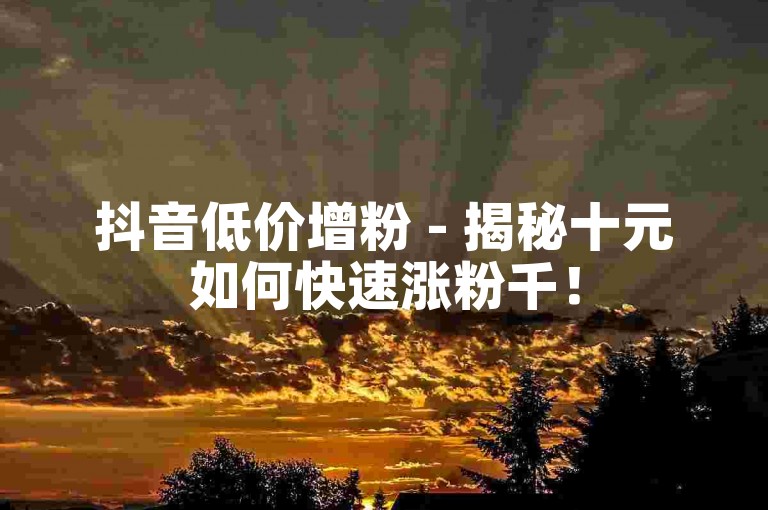 抖音低价增粉 - 揭秘十元如何快速涨粉千！