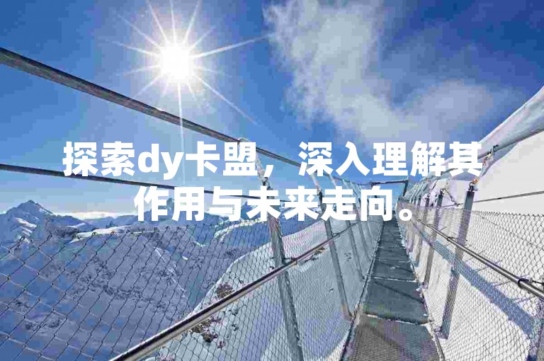 探索dy卡盟，深入理解其作用与未来走向。
