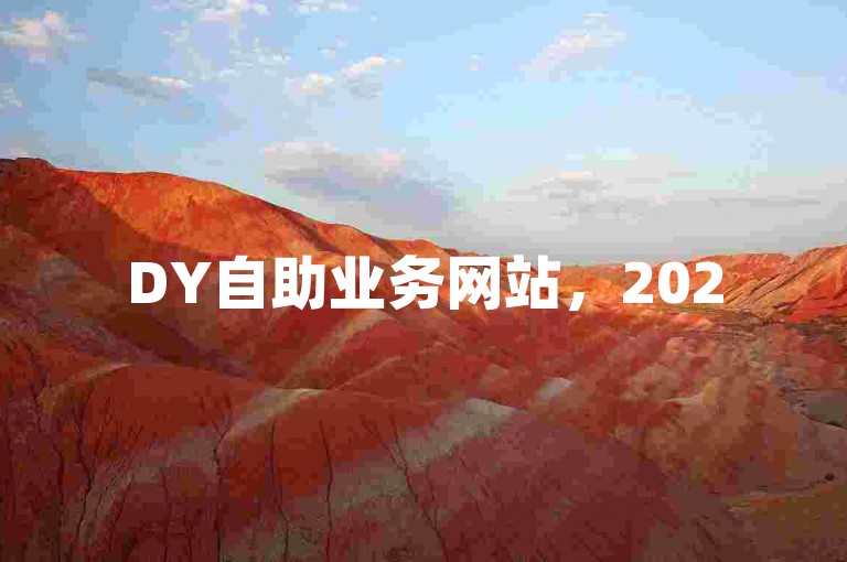 DY自助业务网站，2025必学，网络自主下单提升用户体验！