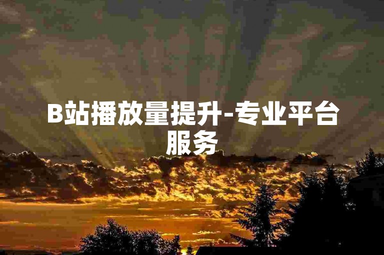 B站播放量提升-专业平台服务