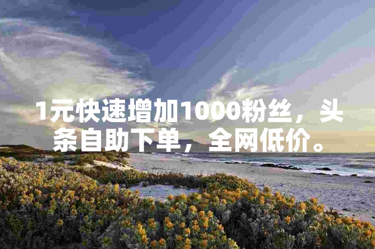 1元快速增加1000粉丝，头条自助下单，全网低价。