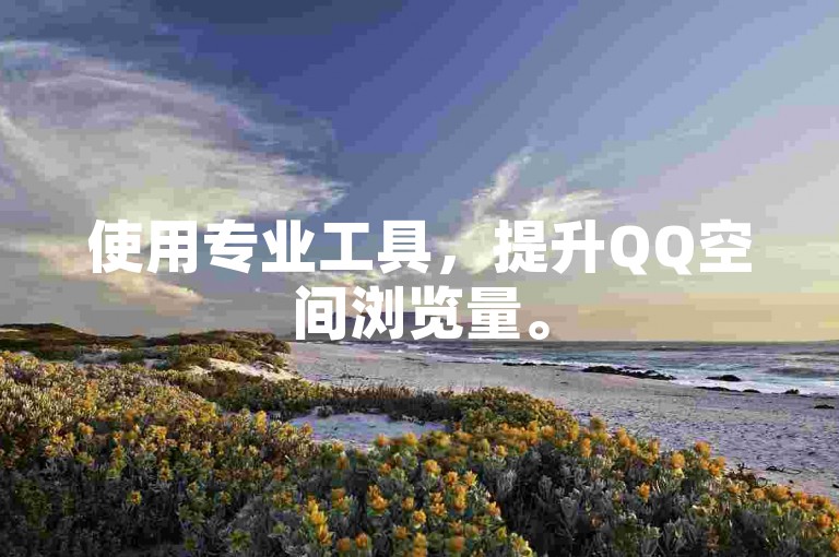 使用专业工具，提升QQ空间浏览量。