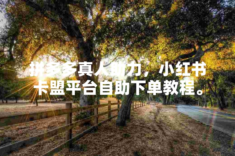 拼多多真人助力，小红书卡盟平台自助下单教程。