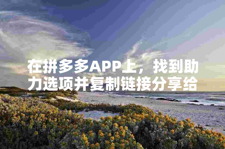 在拼多多APP上，找到助力选项并复制链接分享给微信好友。