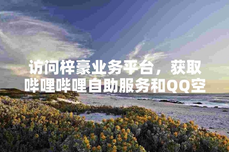 访问梓豪业务平台，获取哔哩哔哩自助服务和QQ空间访客。