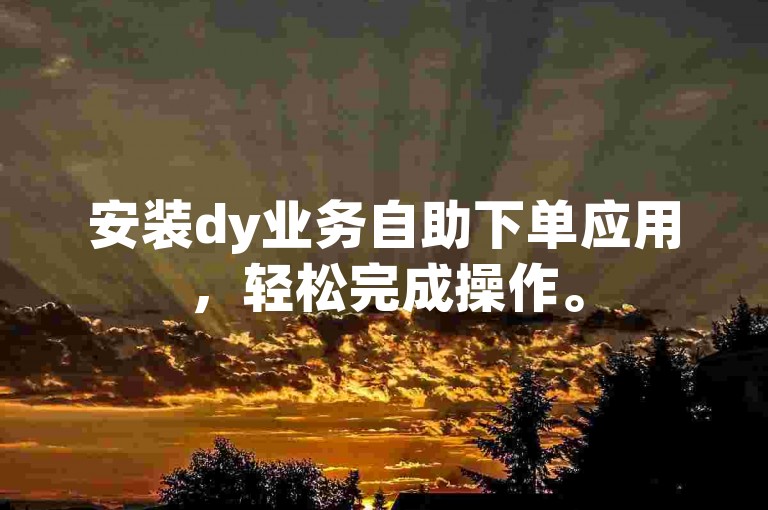 安装dy业务自助下单应用，轻松完成操作。