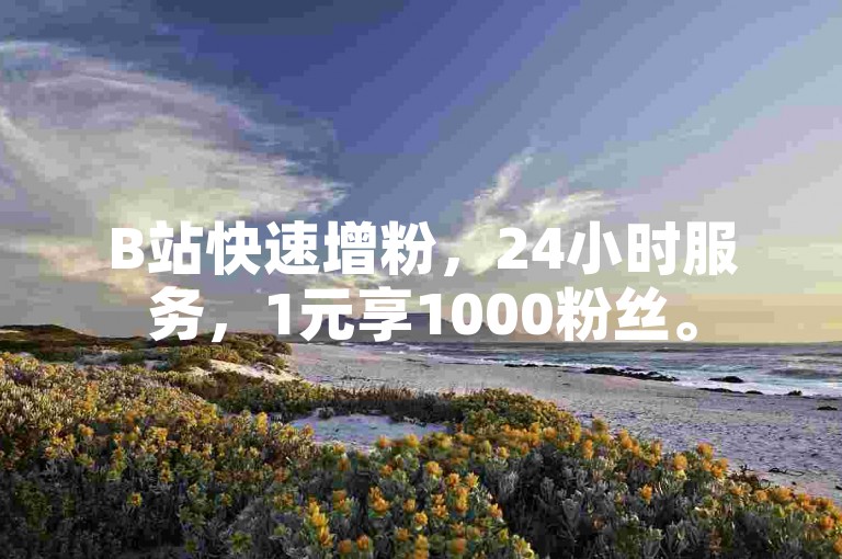 B站快速增粉，24小时服务，1元享1000粉丝。