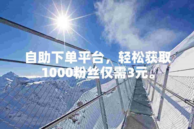 自助下单平台，轻松获取1000粉丝仅需3元。