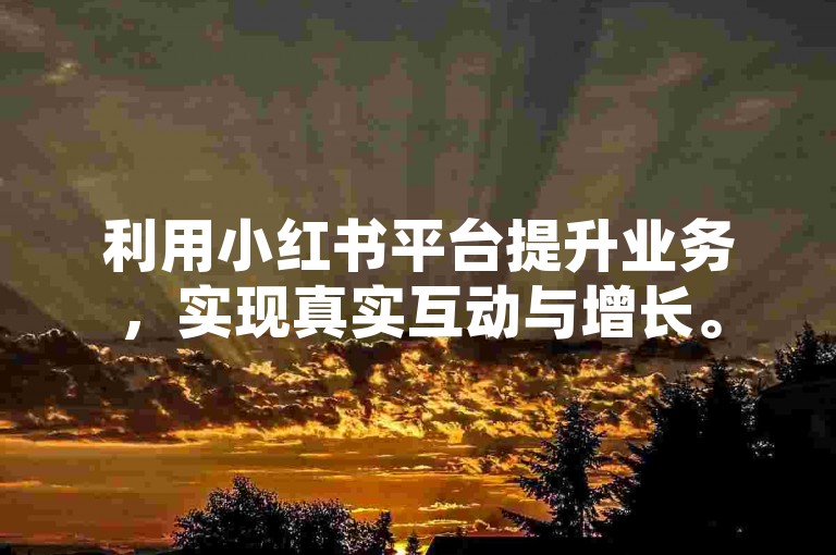 利用小红书平台提升业务，实现真实互动与增长。