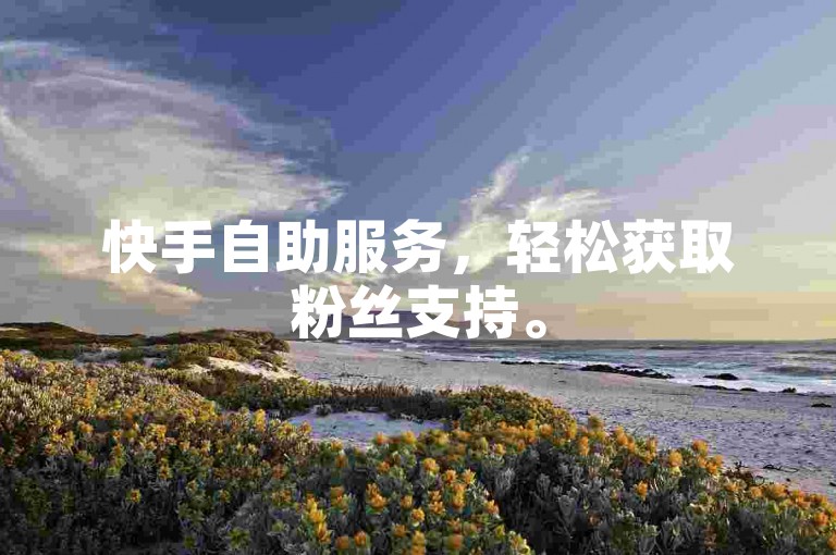 快手自助服务，轻松获取粉丝支持。